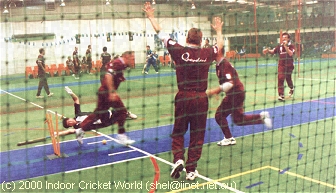 Batsman dives, but is still runout